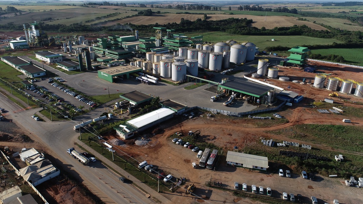 Grupo Potencial investe Pesado em Soja para Nova Esmagadora