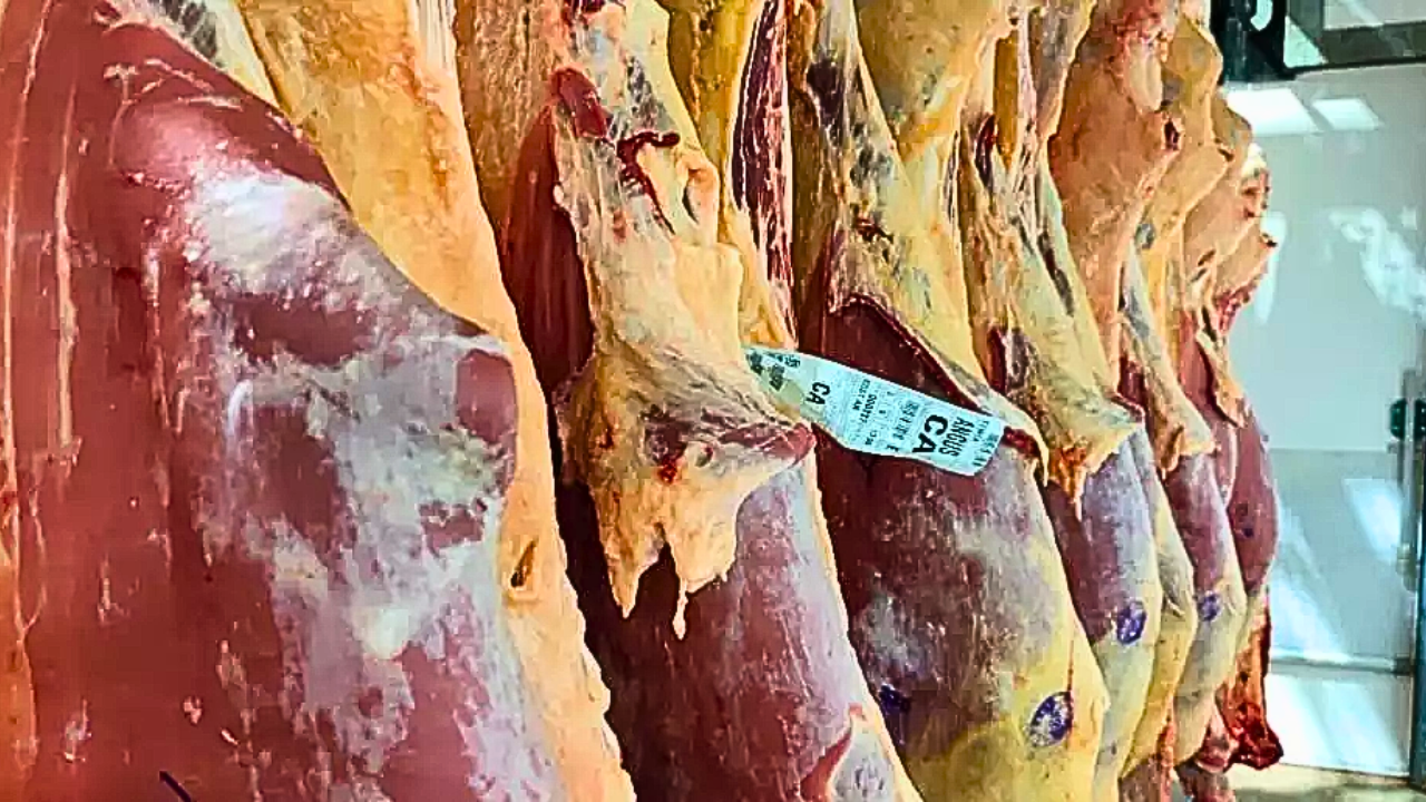 Manda Brasa Serve Cortes Premiados do Concurso Angus