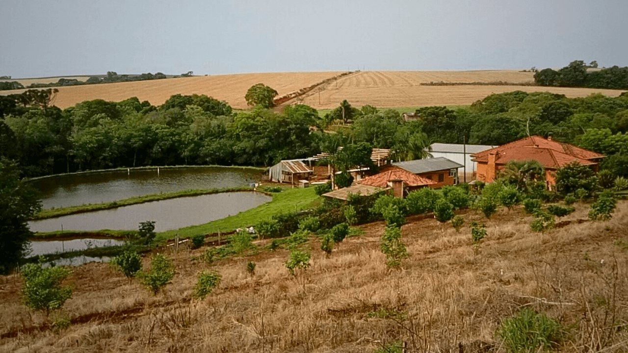O Custo da Má Gestão Jurídica: Crédito, Juros e Burocracia no Agronegócio