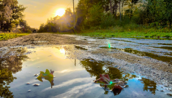 Foto: Portal Notícias do RS