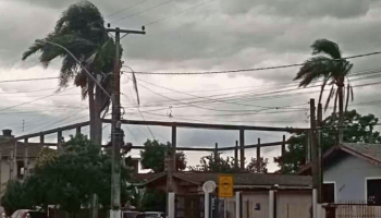 Foto: Rogério Reinheimer Bernardes - Ventania em Osório