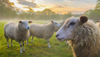 Foto: Frepik Ilustrativa