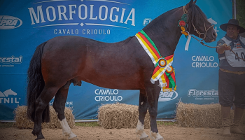 Foto ; Mauricio Vinhas